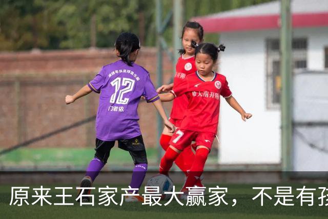 原来王石家产最大赢家，不是有孩子的田朴珺，而是不露面的大女儿