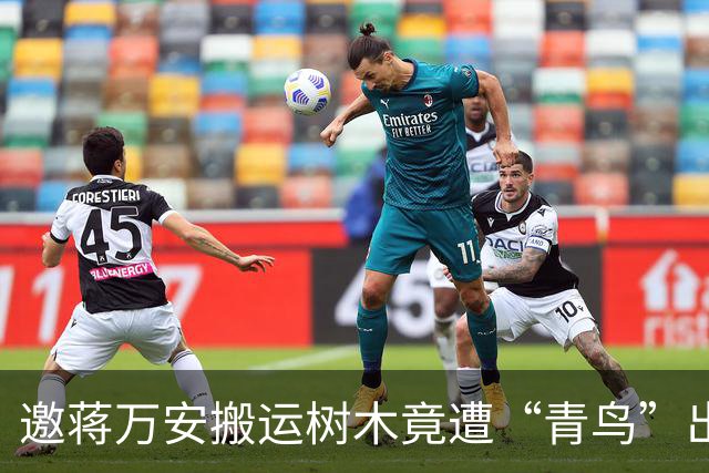 邀蒋万安搬运树木竟遭“青鸟”出征，清洁队长：我好内疚、很难过